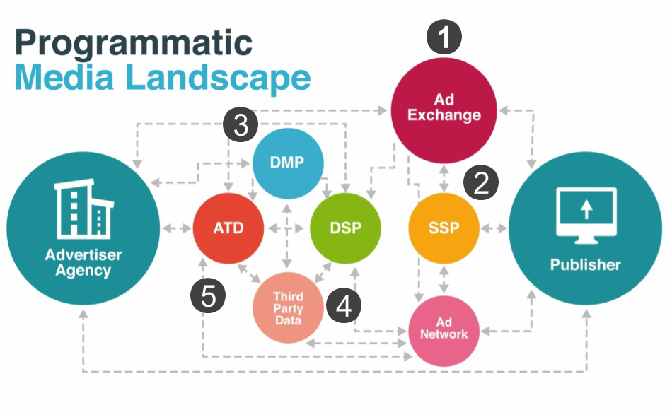 Programmatic Media Buying 101: What’s The Difference Between DSPs & Ad Networks